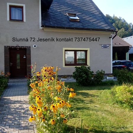 Ubytovani Lumik Jesionik Zewnętrze zdjęcie